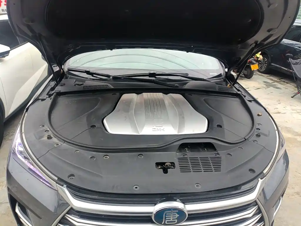 BYD Tang New Energy — миниатюра 20