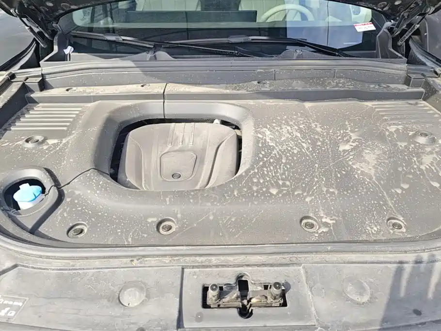 WEI PAI WEI BRAND BLUE MOUNTAIN