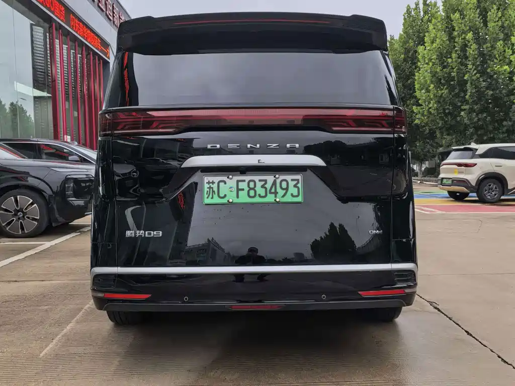 Denza Denza D9 — миниатюра 4