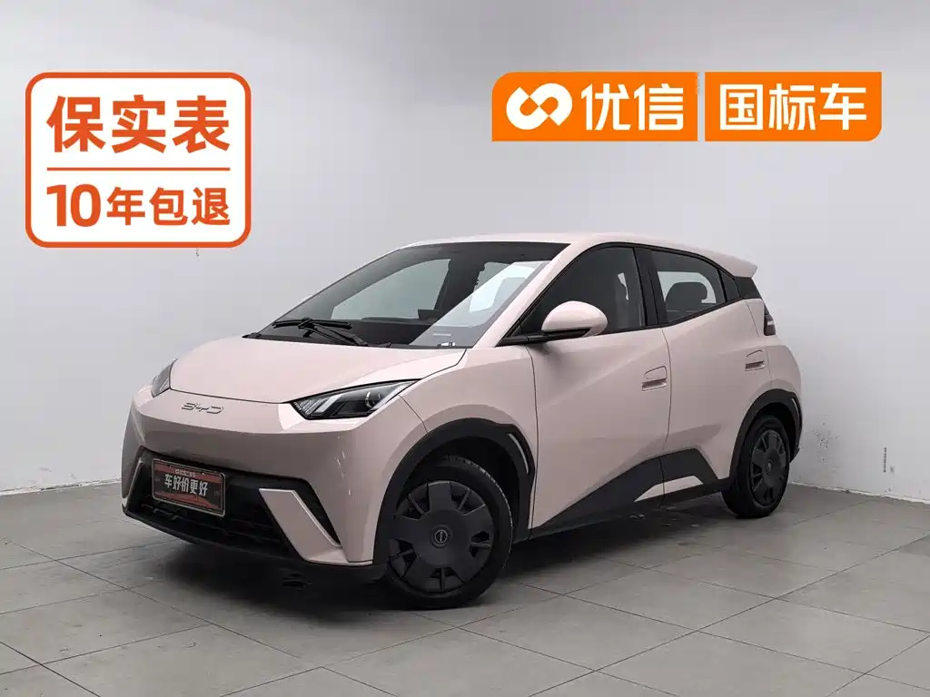 BYD Seagull