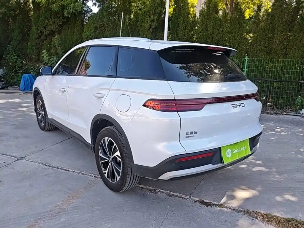 BYD Pro New Energy — миниатюра 5