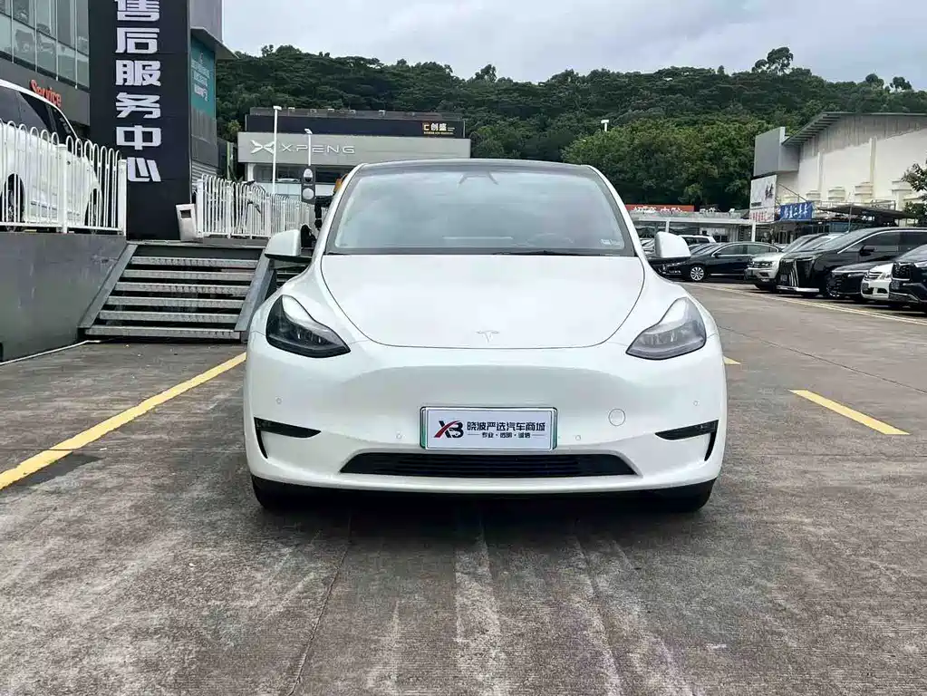 Tesla Model Y — миниатюра 2