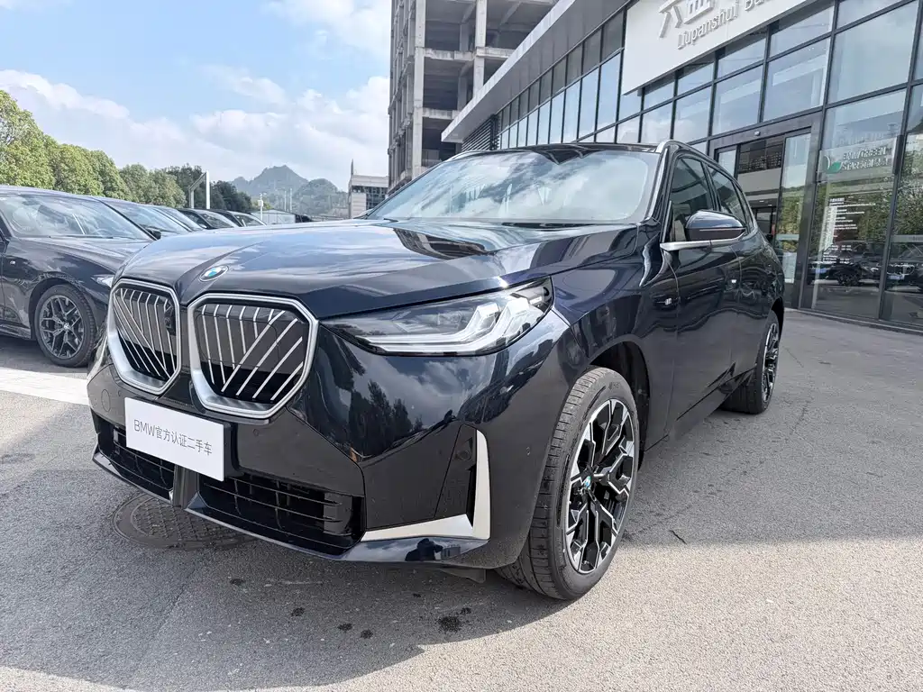 BMW X3 — миниатюра 2