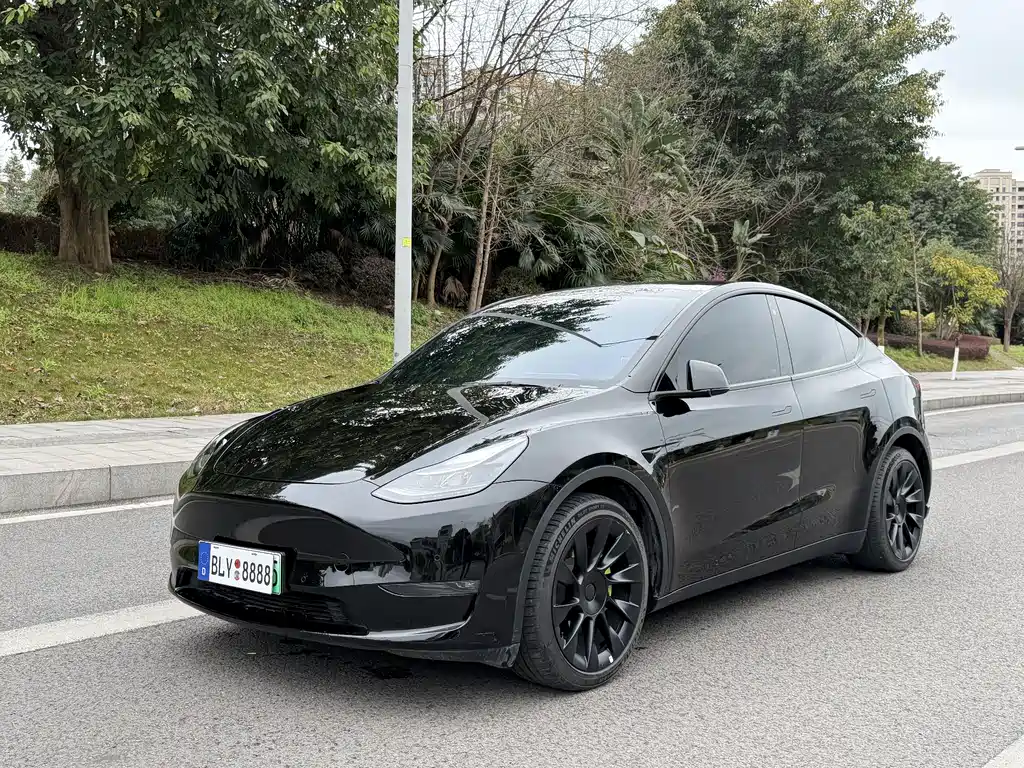 TESLA MODEL Y