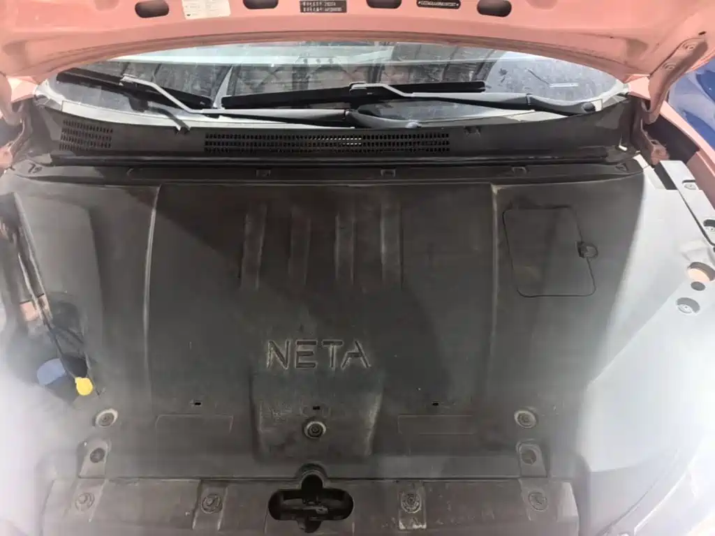 Neta Neta V — миниатюра 22