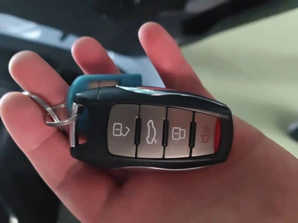 Haval Chitu — миниатюра 13