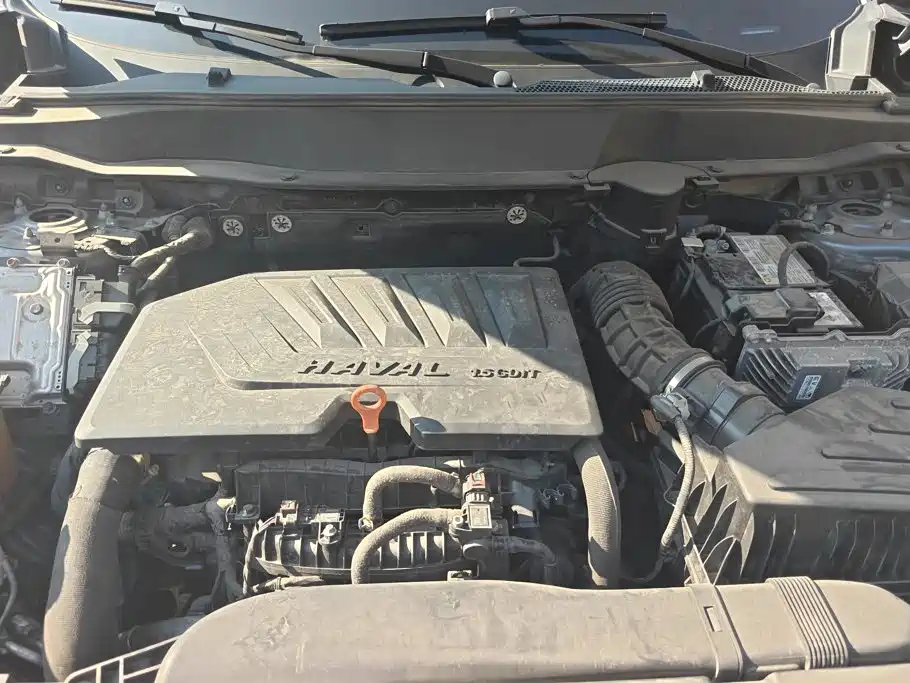 Haval Big Dog — миниатюра 10