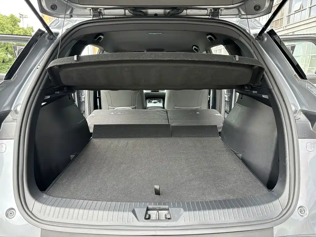 BYD Pro New Energy — миниатюра 5