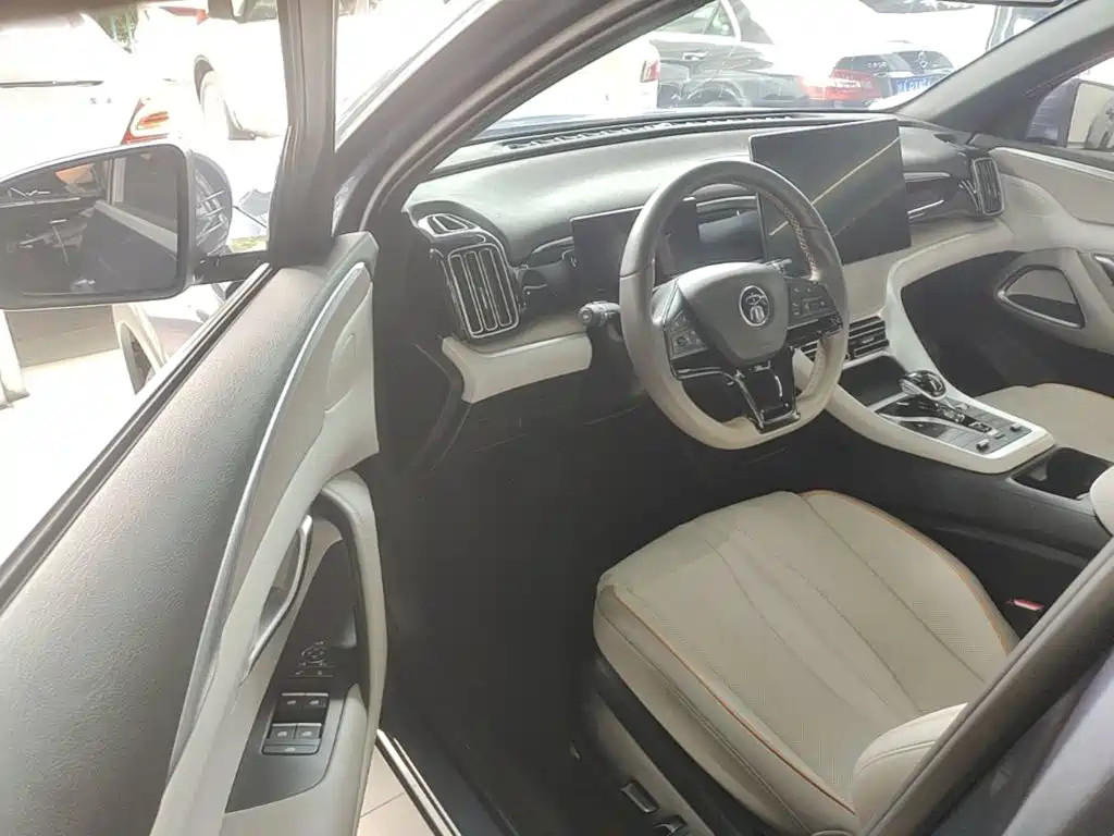 BYD Pro New Energy — миниатюра 16