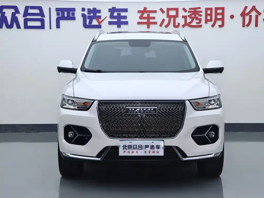 Haval H6 — миниатюра 2