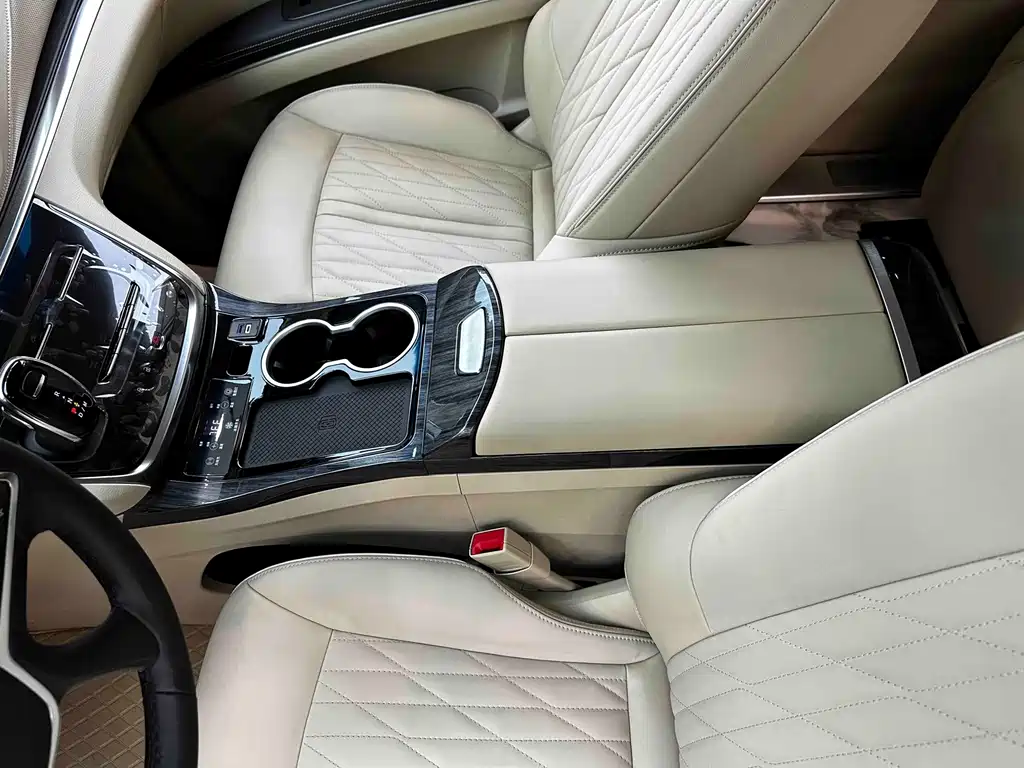 Buick GL8 — миниатюра 10