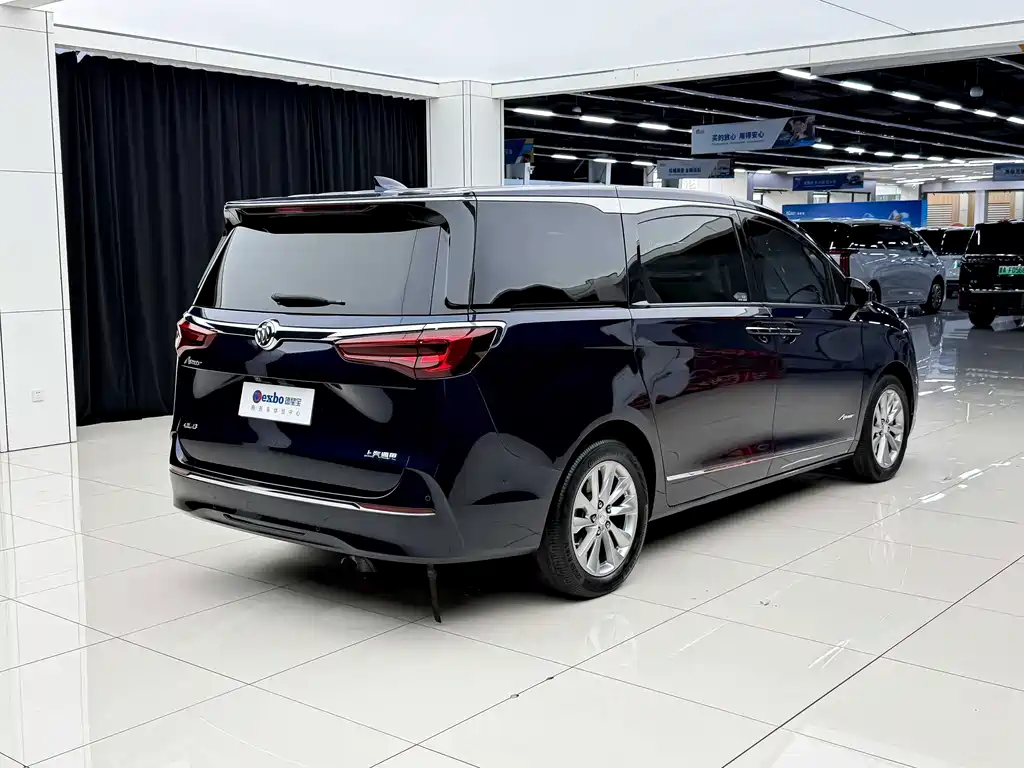 Buick GL8 — миниатюра 3