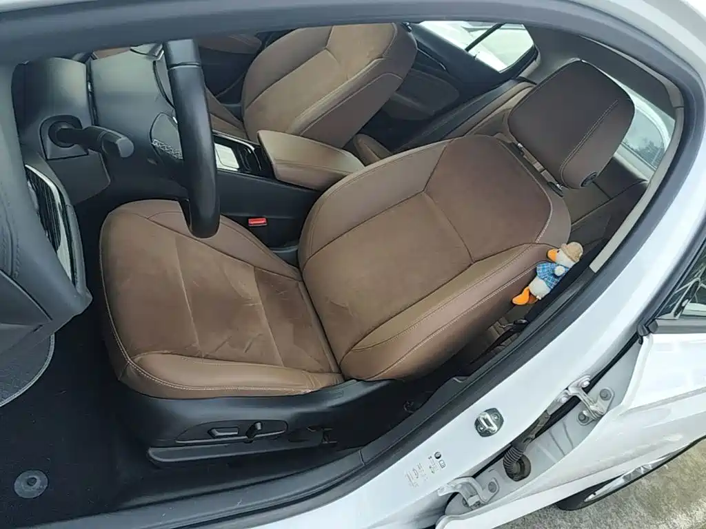 Buick Regal — миниатюра 15