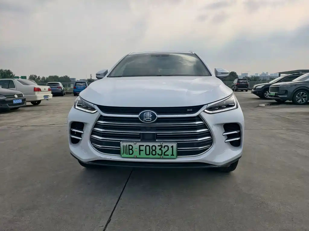 BYD Tang New Energy — миниатюра 2