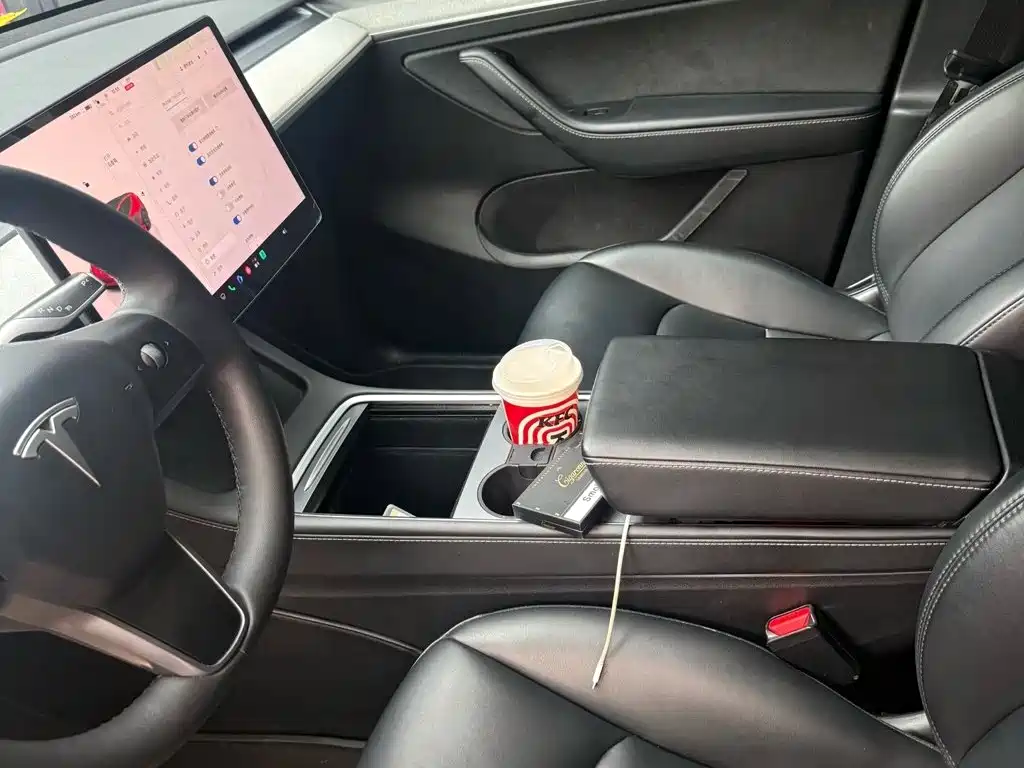 Tesla Model Y — миниатюра 4