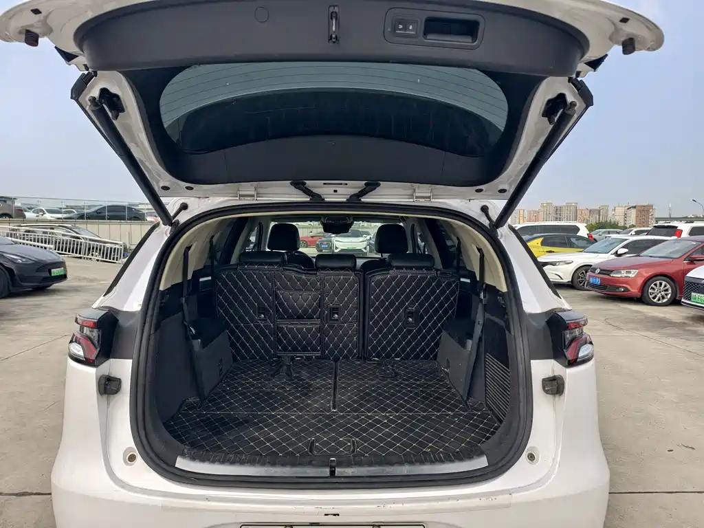 BYD Tang New Energy — миниатюра 12