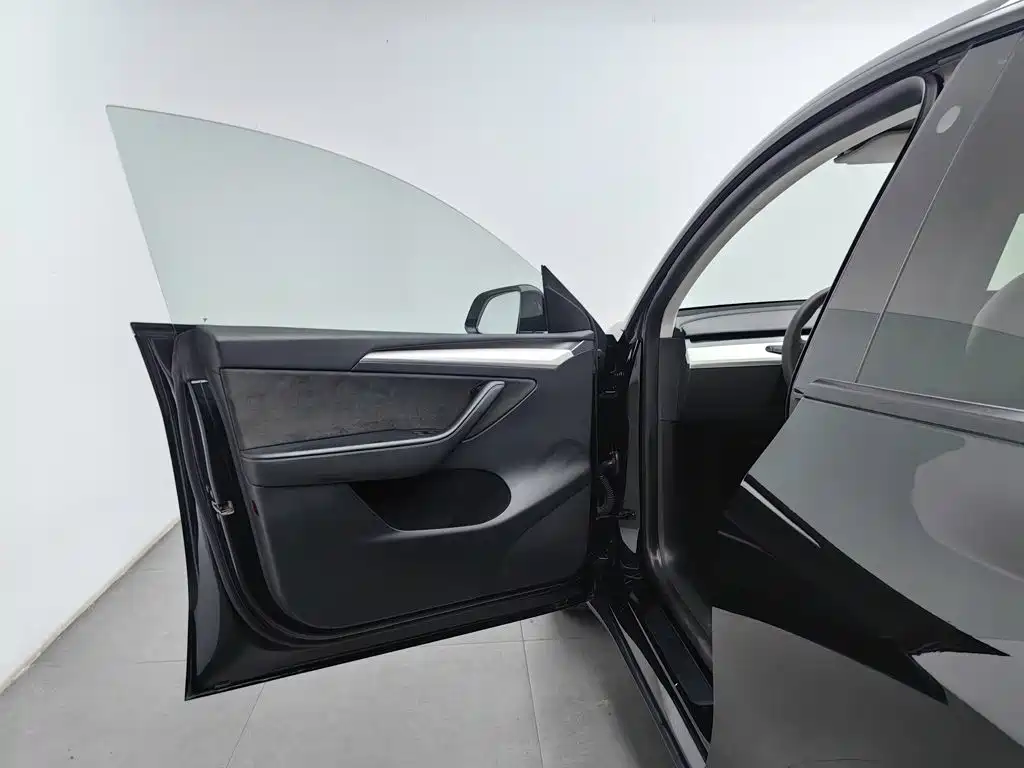 Tesla Model Y — миниатюра 8