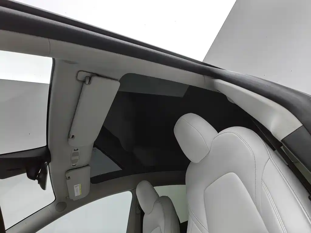 Tesla Model Y — миниатюра 14