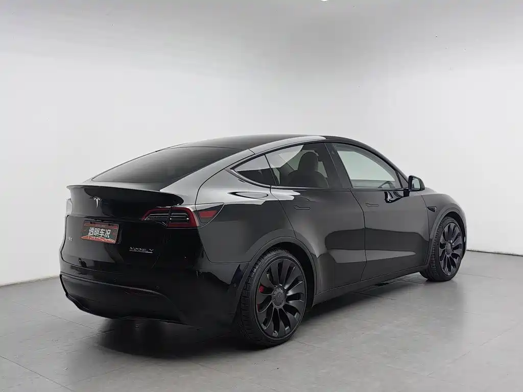 Tesla Model Y — миниатюра 2