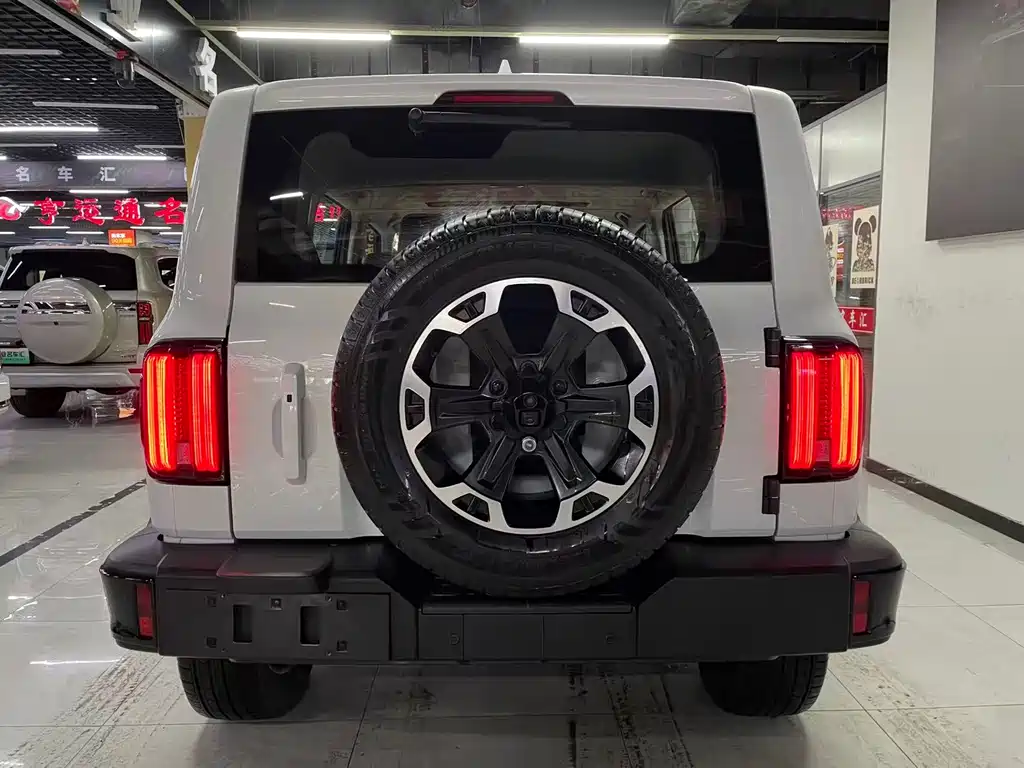 TANK TANK 300 NEW ENERGY