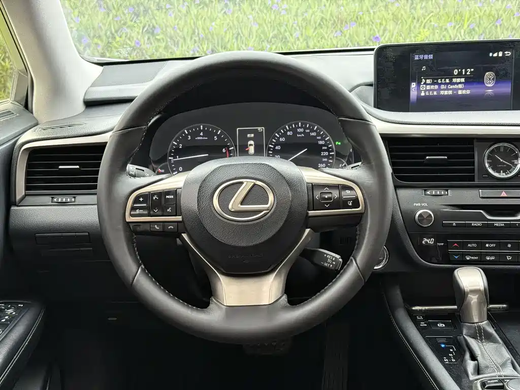 LEXUS RX