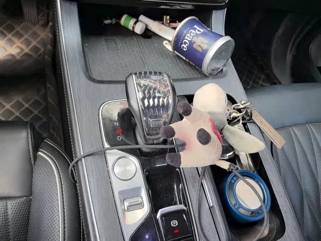 GAC Motor Trumpchi GS8 — миниатюра 7