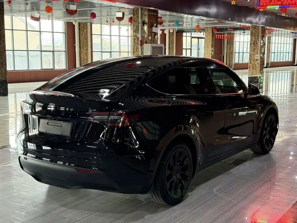 Tesla Model Y — миниатюра 4