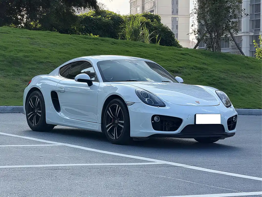 Porsche Cayman — миниатюра 6