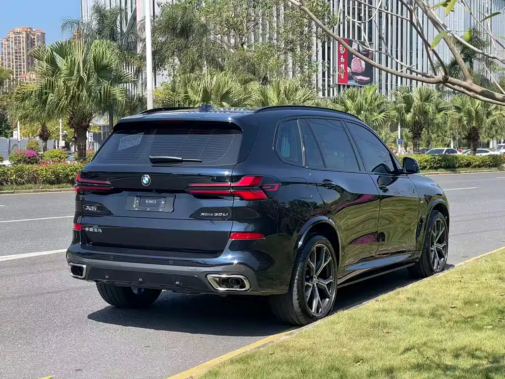 BMW X5 — миниатюра 16