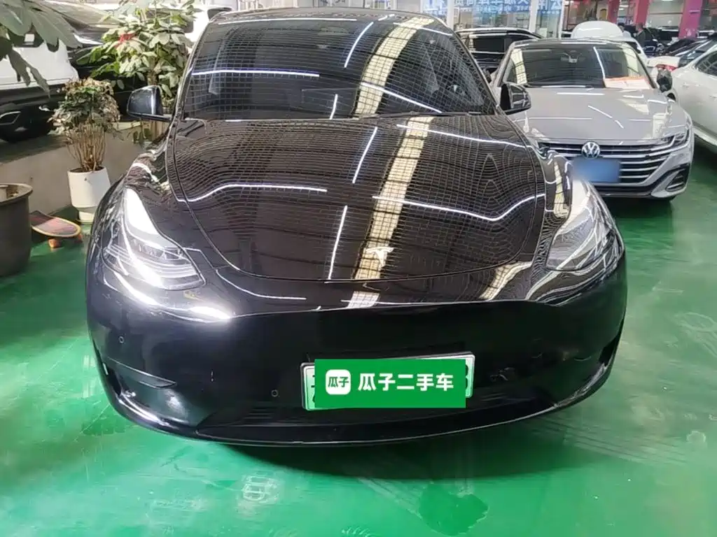 Tesla Model Y — миниатюра 3