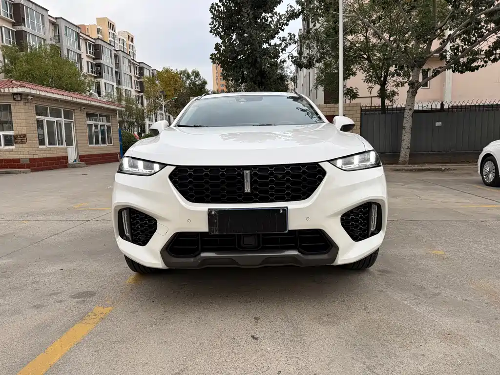 WEI PAI WEI BRAND VV7