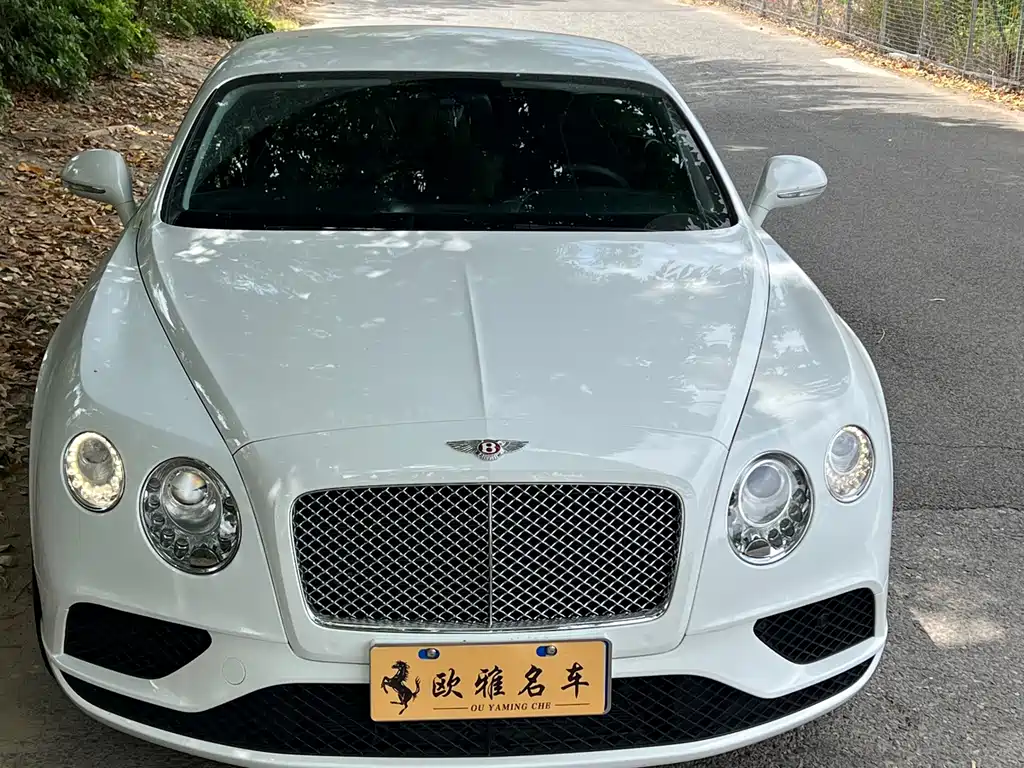 Bentley Continental 4.0T GT V8 Standard Edition, фото 2