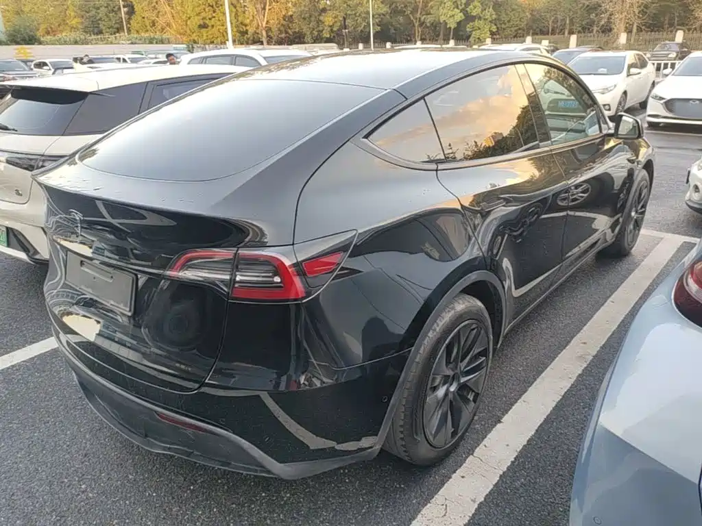 Tesla Model Y — миниатюра 7