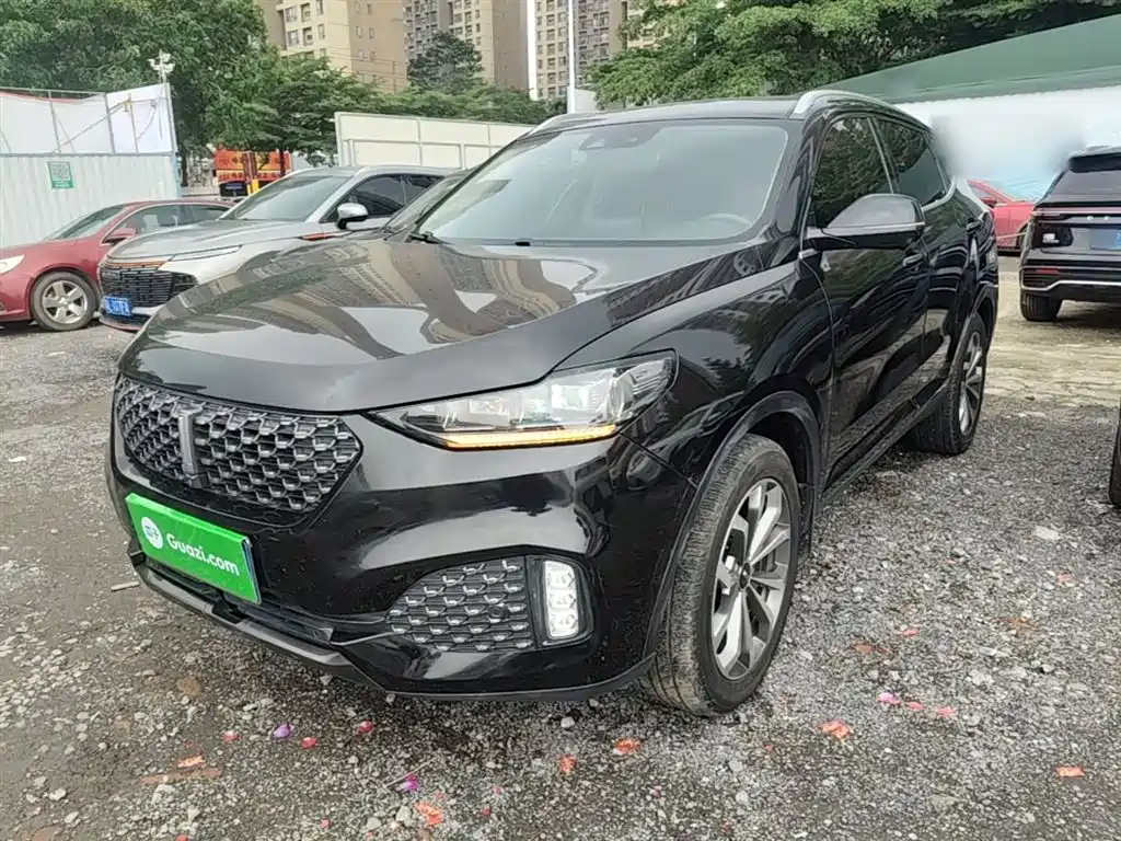 Wey Wey VV6 2019