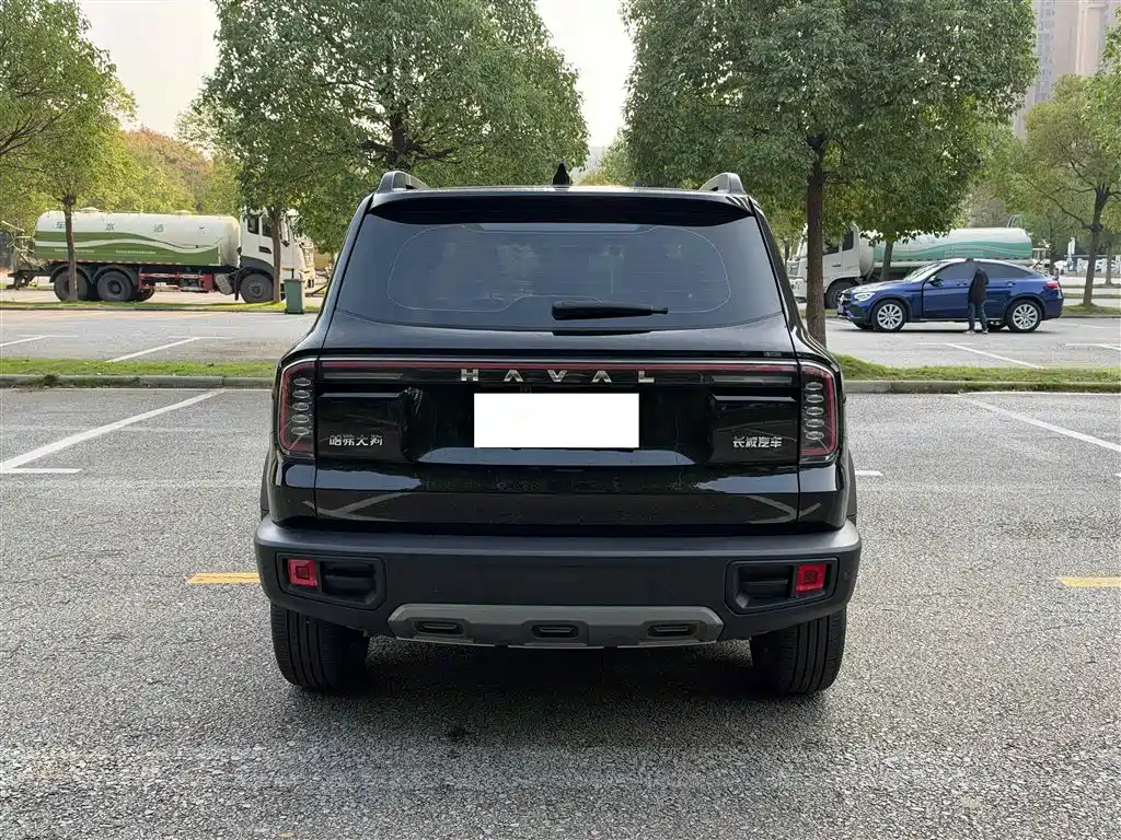 Haval Big Dog — миниатюра 14