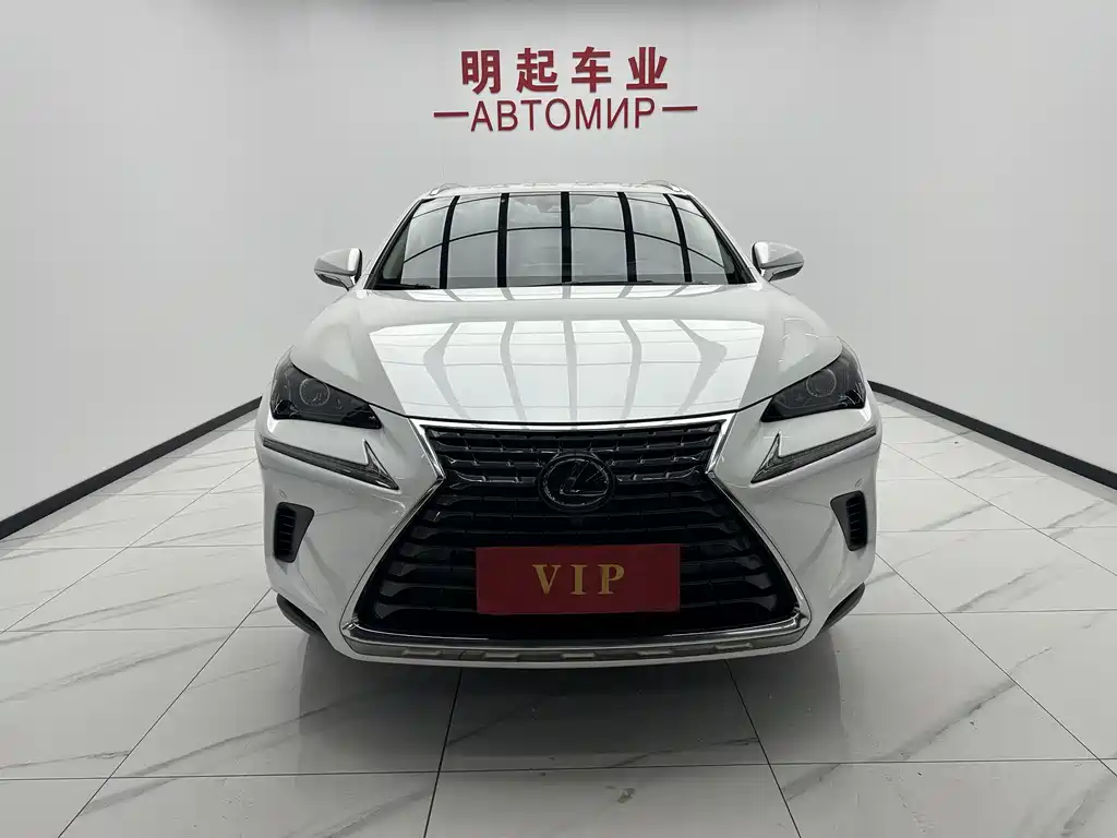 Lexus NX 2020 200 VI