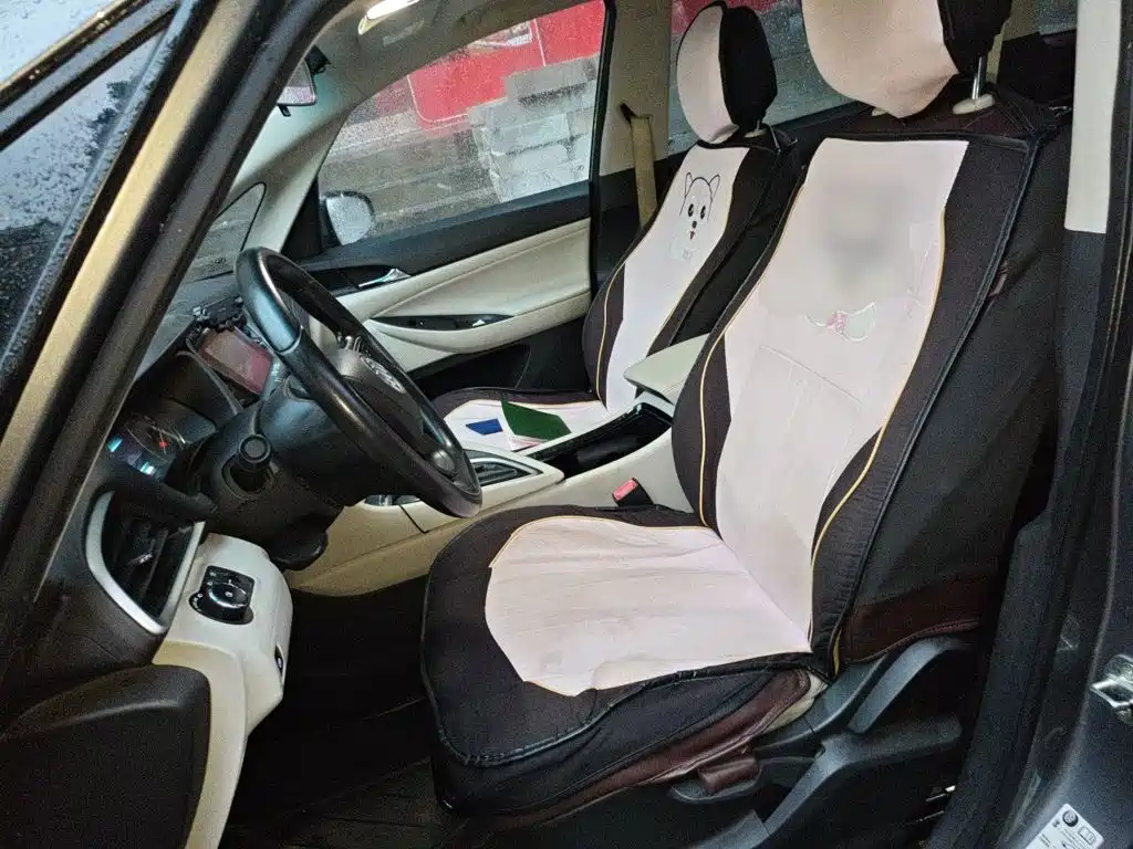 Buick GL6 — миниатюра 16