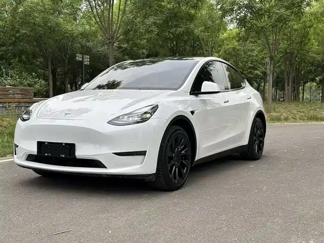 Tesla Model