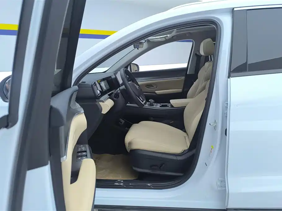 BYD SONGJIANG NEW ENERGY