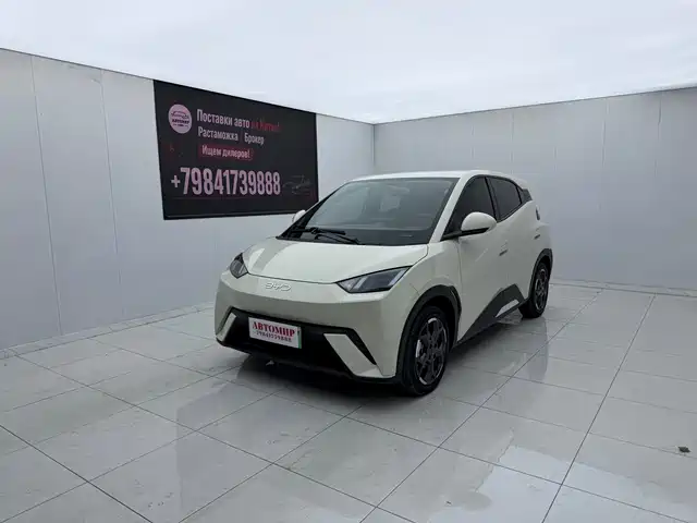 BYD Seagull