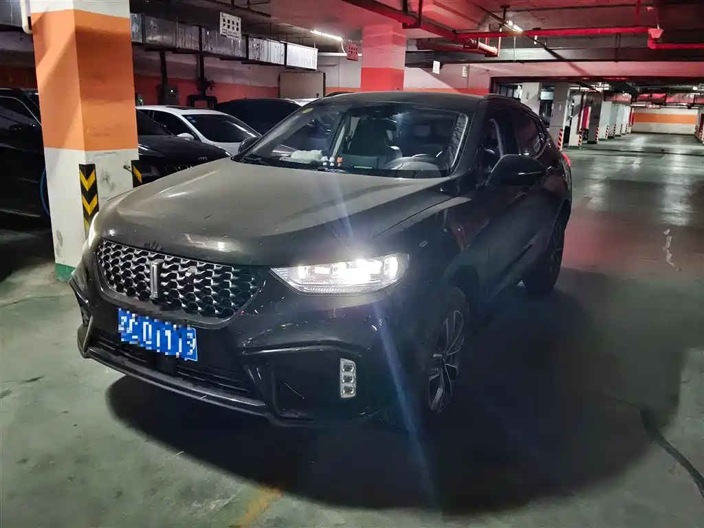 Wey Wey VV5 2020
