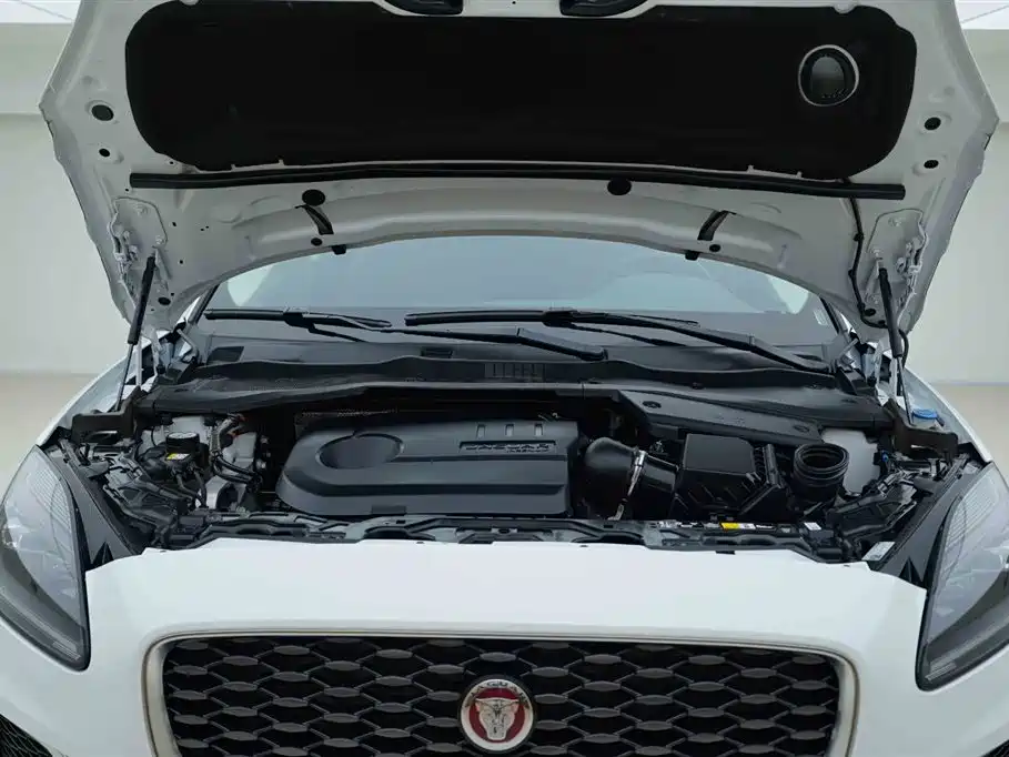 Jaguar E-Pace 2024 Sport R-DYNAMIC S
