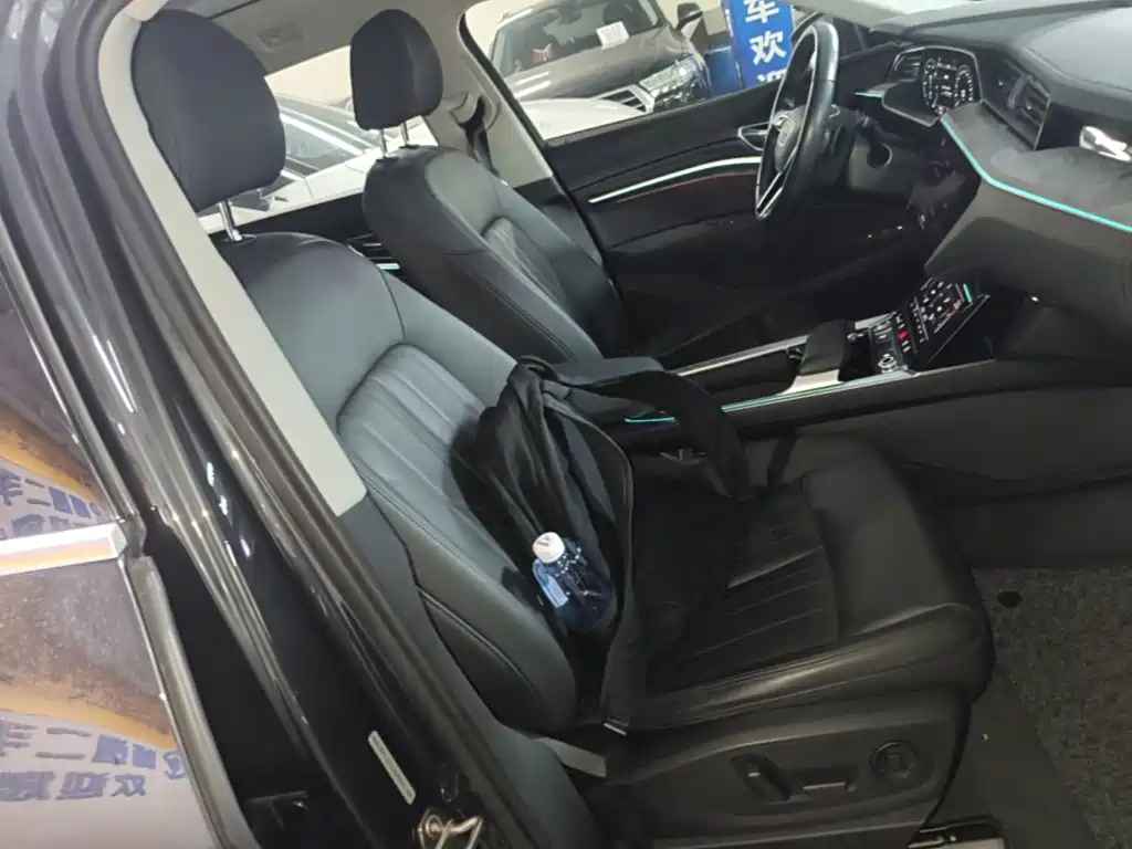 Audi e-tron (Import) — миниатюра 25