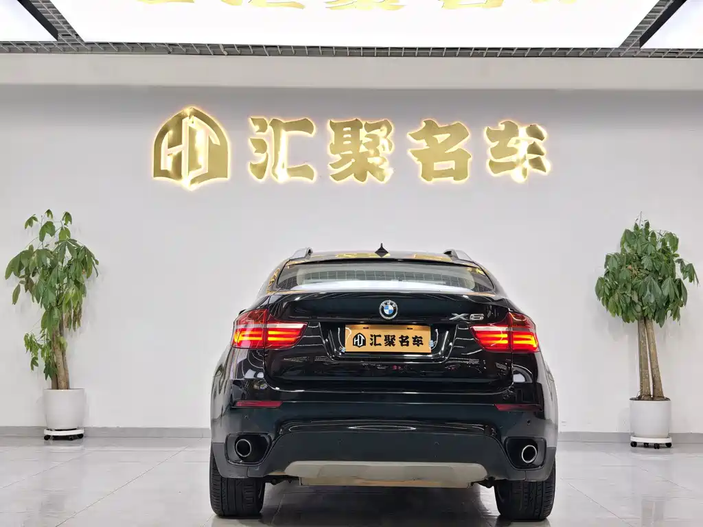 BMW X6 xDrive35i Sport Type, фото 8