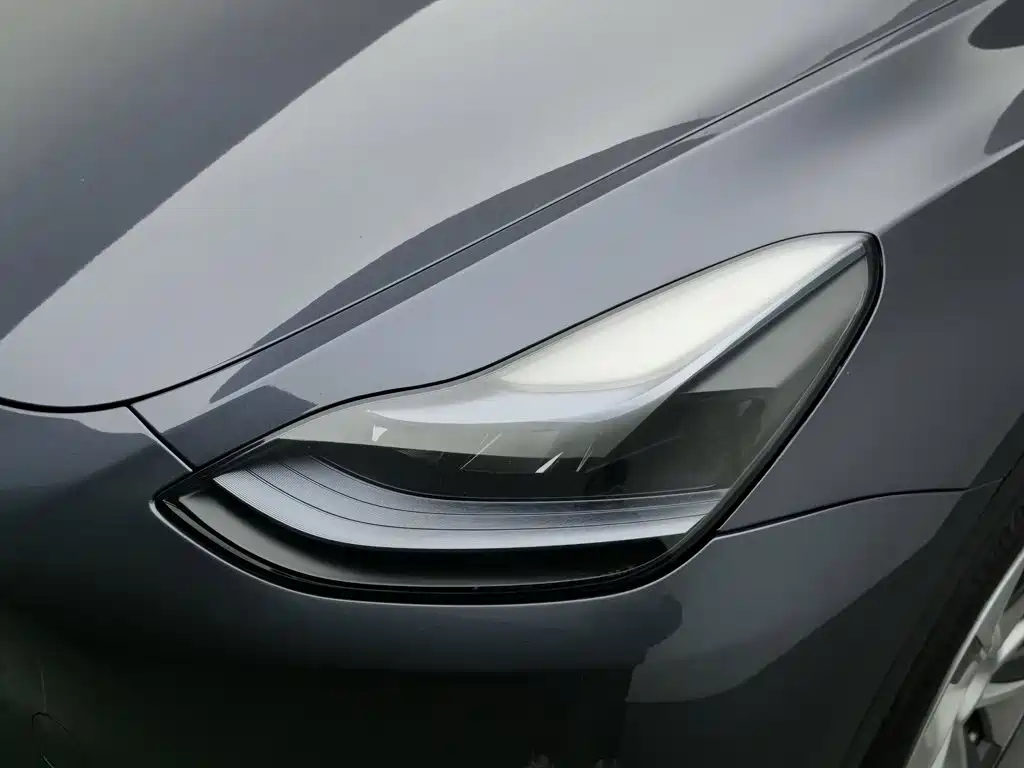 Tesla Model Y — миниатюра 7
