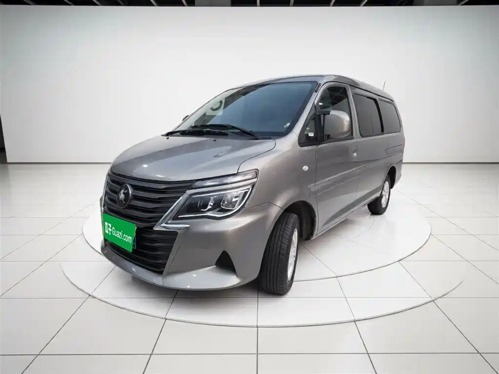 Fengxing Lingzhi 2025