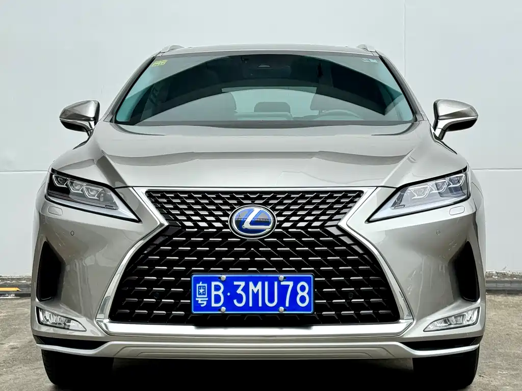 Lexus RX 2020 450h Elegant VI