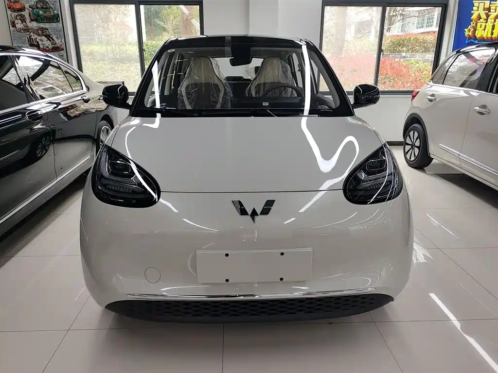 Wuling Binguo 2025 333km Enjoy