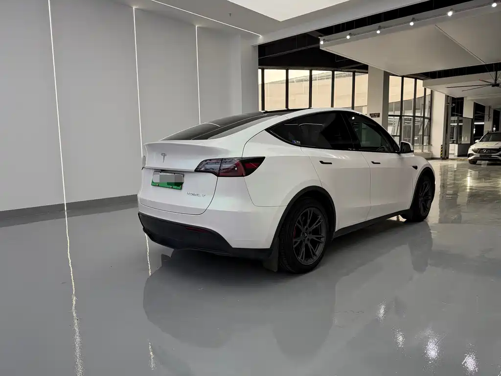 Tesla Model Y — миниатюра 16