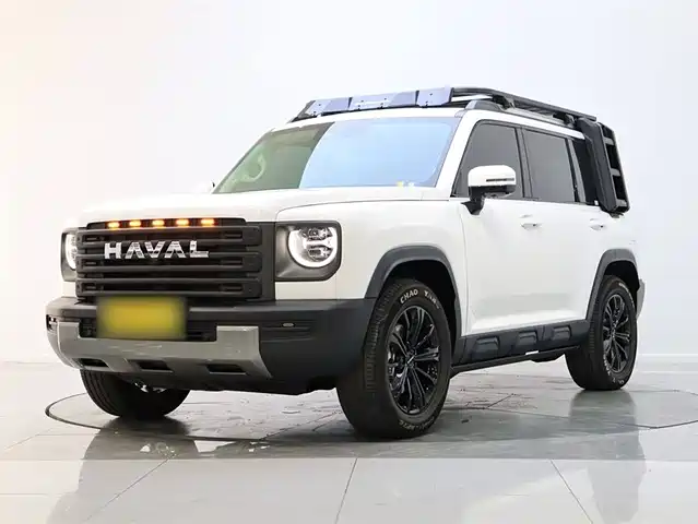 HAVAL  RAPTORS NEW ENERGY 2024